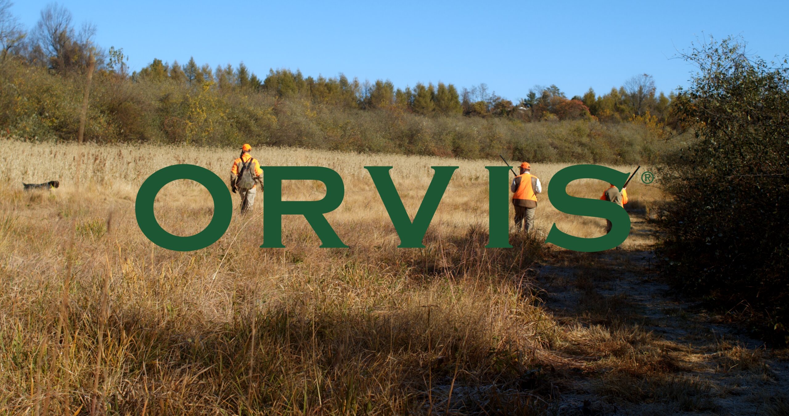 OrvisHilllcounty_v1_2.1.1